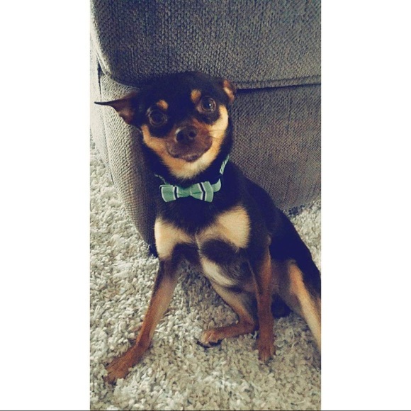 Follow, share, repeat  - Picture 4 of 8